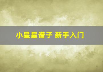 小星星谱子 新手入门